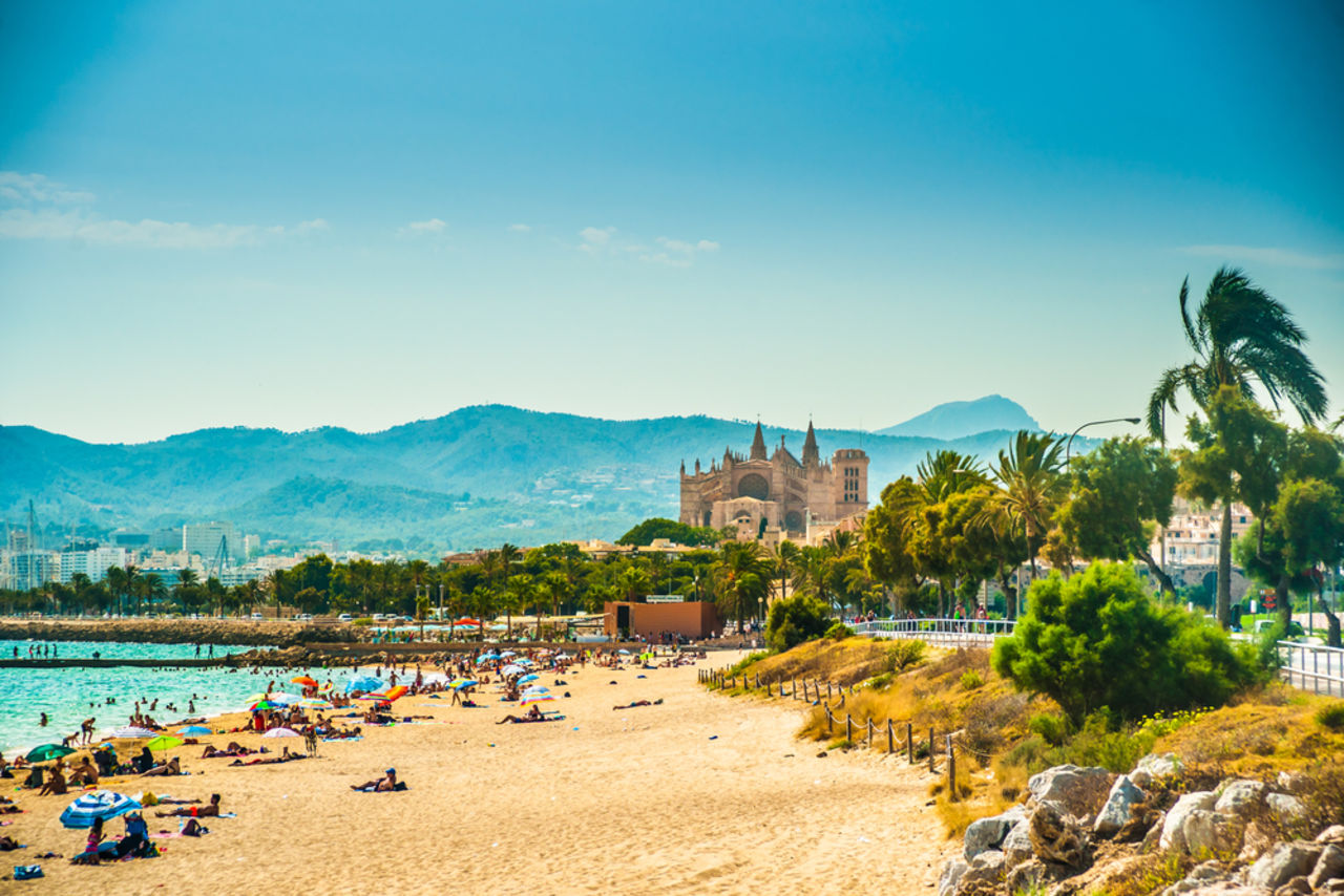 Blick auf den Strand von Palma de Mallorca mit der Kathedrale La Seu und grüner Berglandschaft im Hintergrund